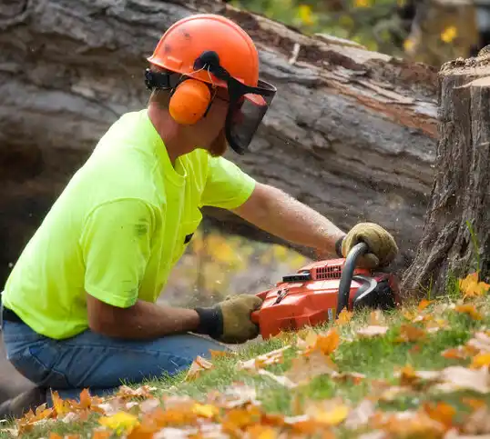 tree services Shawnee Hills